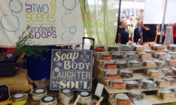 Aliquam erat volutpat